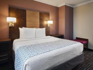 Best Western Fort Myers Inn&Suites Zimmer foto